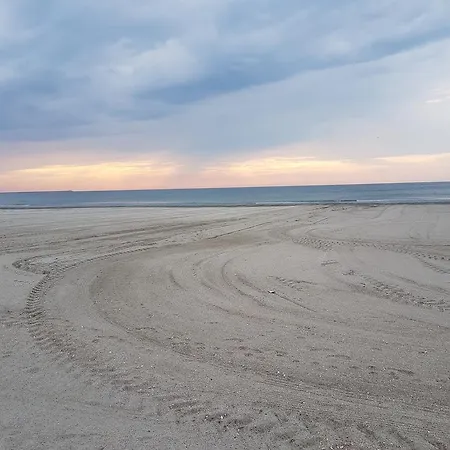 Studio Mamaia Nord * Năvodari